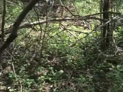 Kantutan sa Park Nahuli sa Akto.. Batang Pinay Bitin na Bitin.. New Viral
